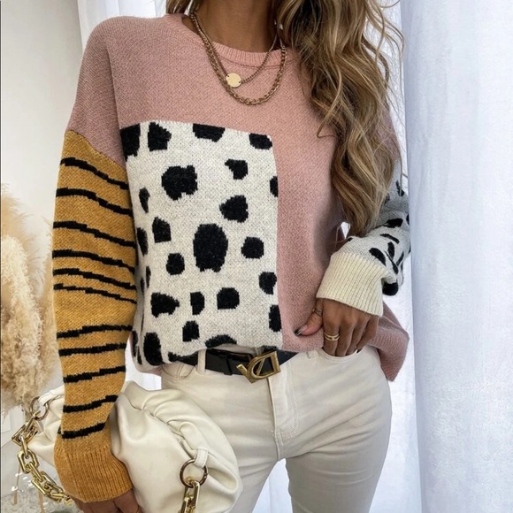 Leopard print stripes color block Sweater - Picture 4 of 6